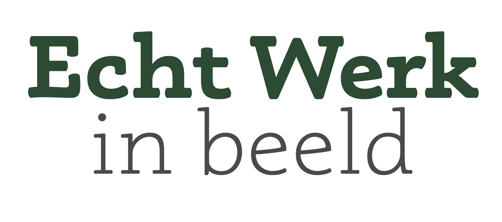 echtwerkinbeeld.nl